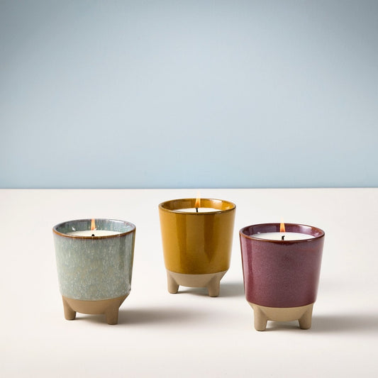  Glow & Grow Candle-to-Planter Kit – Basil, Daisies, Aloe, Or Spruce