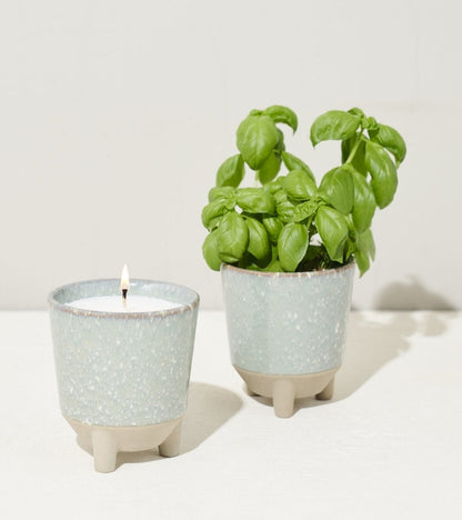  Glow & Grow Candle-to-Planter Kit – Basil, Daisies, Aloe, Or Spruce