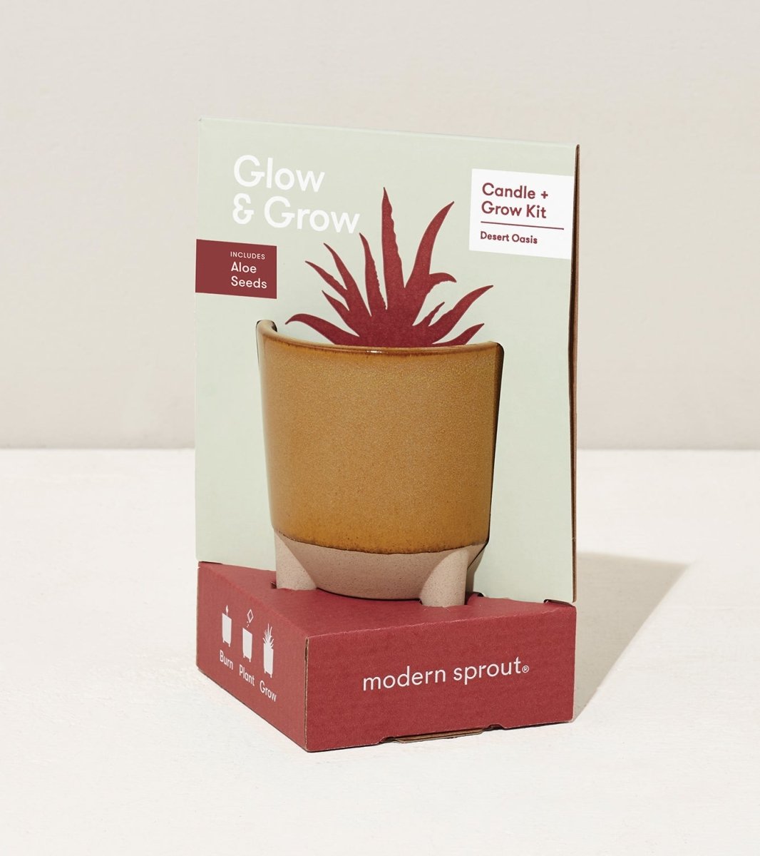  Glow & Grow Candle-to-Planter Kit – Basil, Daisies, Aloe, Or Spruce