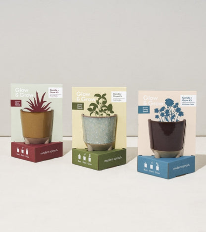  Glow & Grow Candle-to-Planter Kit – Basil, Daisies, Aloe, Or Spruce