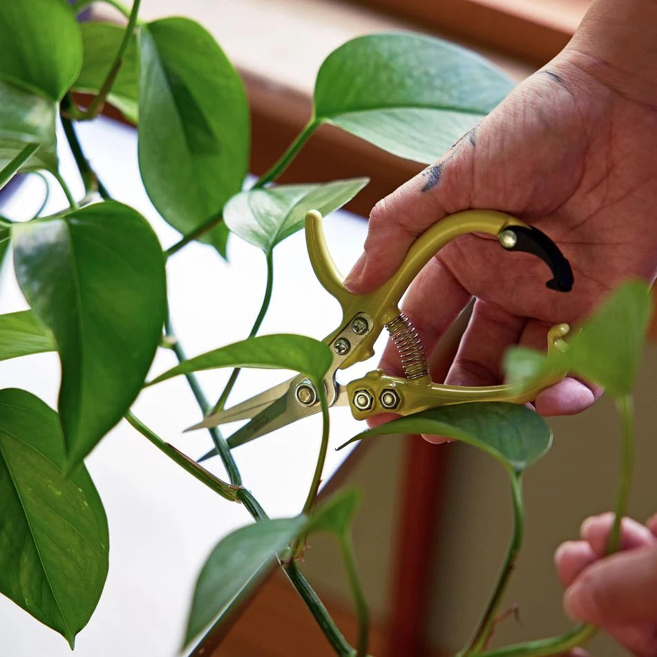 Grip-Friendly Gardening Shears - New Colors!