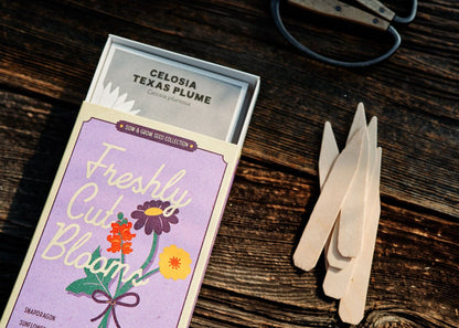  Grow Your Own Cut Flower Garden Kit – Backyard Bouquets Made Easy!