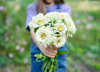  Grow Your Own Cut Flower Garden Kit – Backyard Bouquets Made Easy!