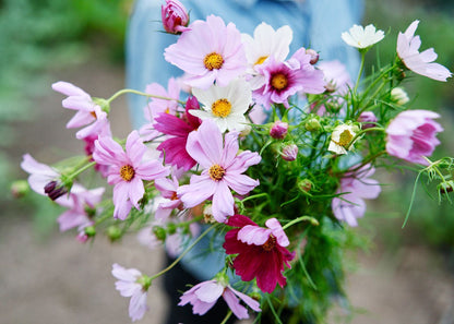  Grow Your Own Cut Flower Garden Kit – Backyard Bouquets Made Easy!
