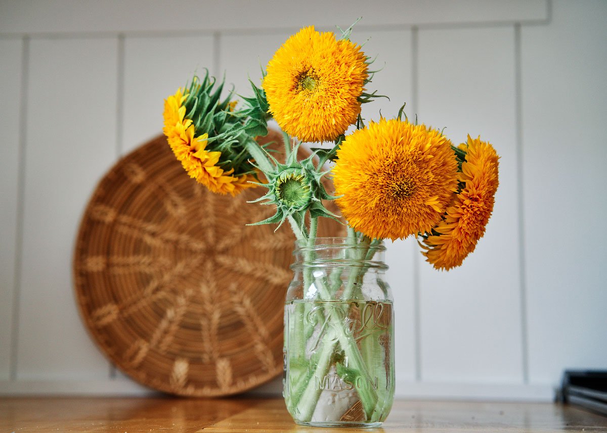  Grow Your Own Cut Flower Garden Kit – Backyard Bouquets Made Easy!