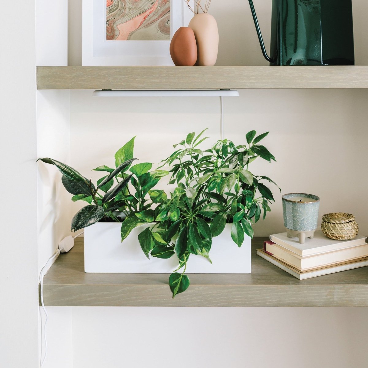  Growbar White LED Grow Light Fixture (Online Only) | Under Cabinet Or Shelf Mount