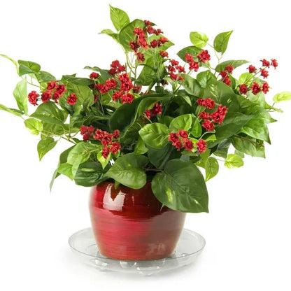  Heavy-Duty Ventilated PET Plant Saucer – 50% Recycled, Recyclable | 6″–24″