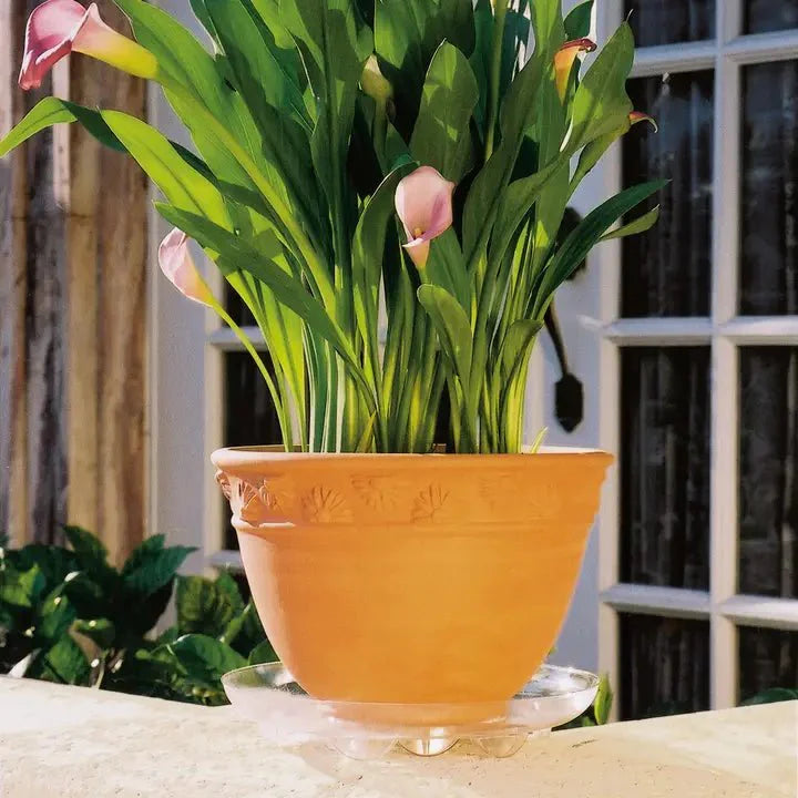  Heavy-Duty Ventilated PET Plant Saucer – 50% Recycled, Recyclable | 6″–24″