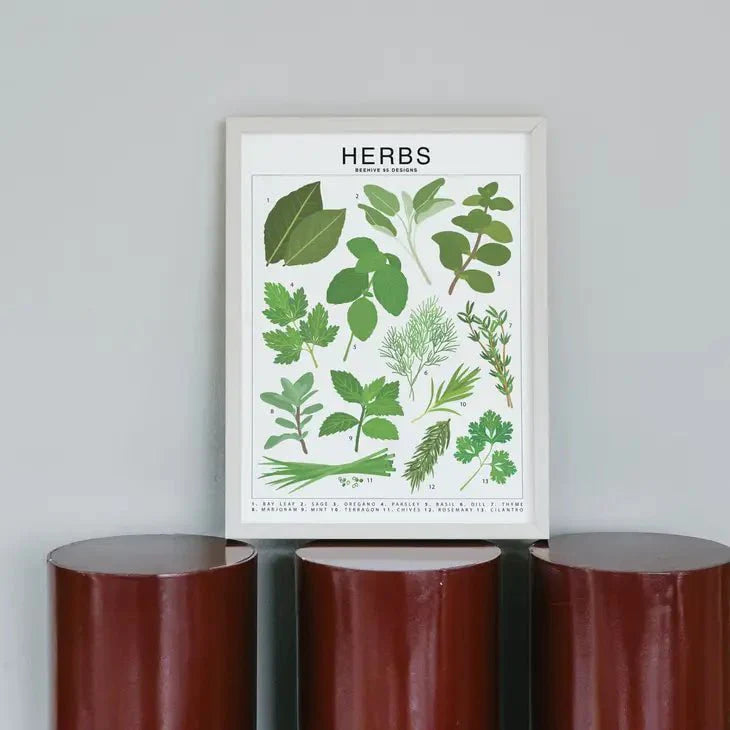  Herbs Species ID Chart - Botanical Garden Art Print