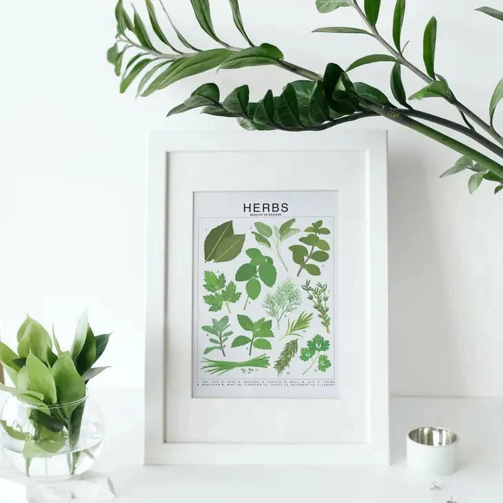  Herbs Species ID Chart - Botanical Garden Art Print