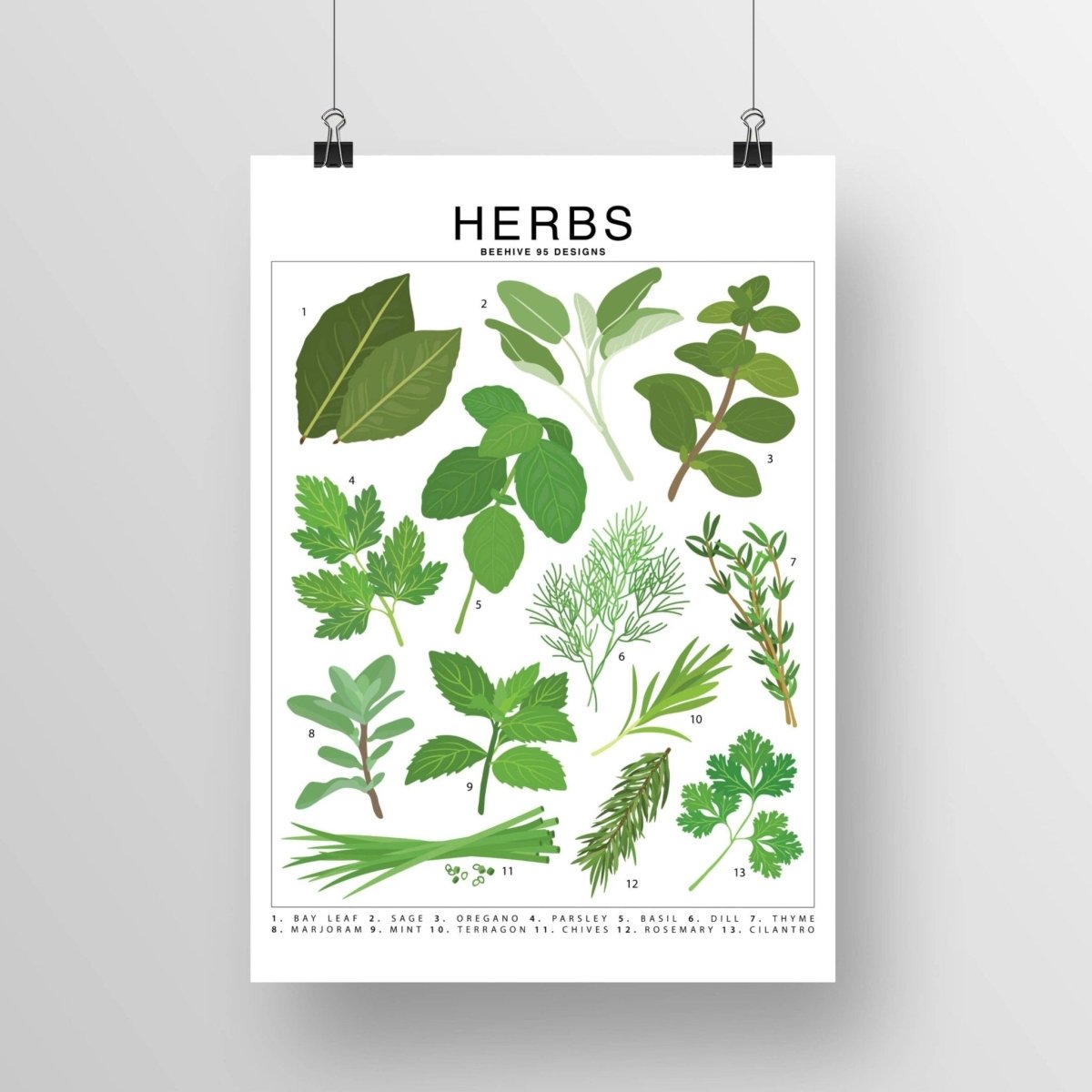  Herbs Species ID Chart - Botanical Garden Art Print