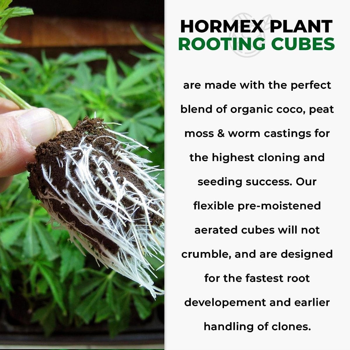  Hormex Rooting Cubes – Organic Peat & Coco Plugs For Cuttings & Seedlings
