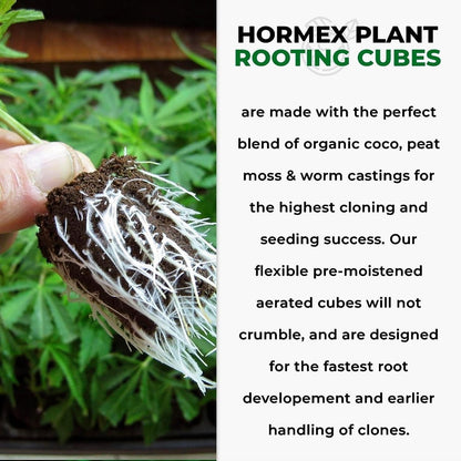  Hormex Rooting Cubes – Organic Peat & Coco Plugs For Cuttings & Seedlings