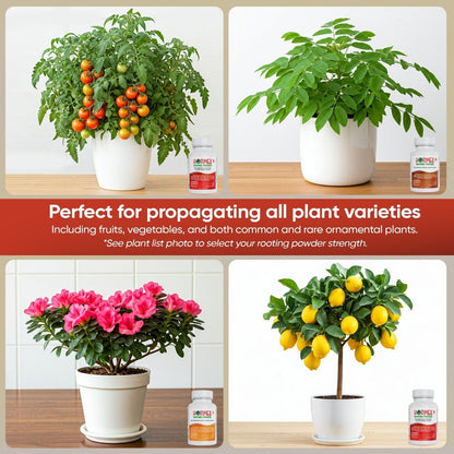  Hormex Rooting Powder Pack – #3, #8 & #16 High-Strength Cloning Kit For Semi-Softwood To Hardwood Cuttings