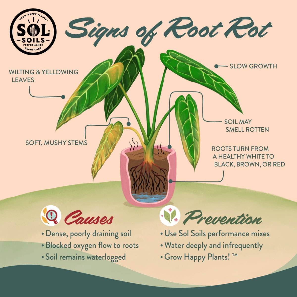  Houseplant Chunky Mix – All-Purpose Potting Mix For Aroids & Tropicals
