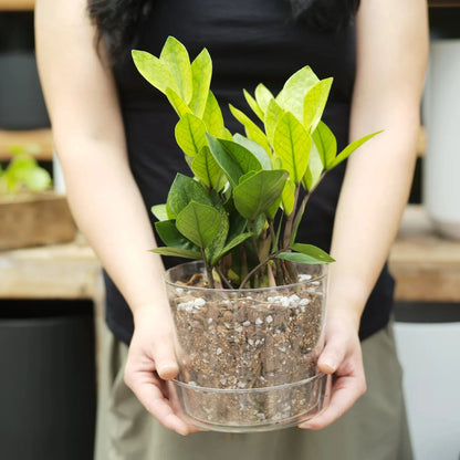  Houseplant Chunky Mix – All-Purpose Potting Mix For Aroids & Tropicals
