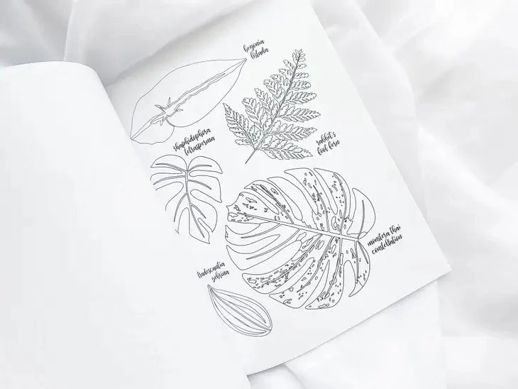  Houseplant Lover Coloring Book | 50 Pages Of Botanical Bliss