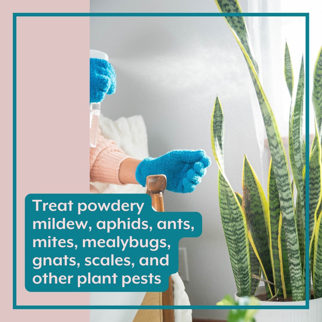  Instant Plant Food- The ULTIMATE Plant Parent Bundle
