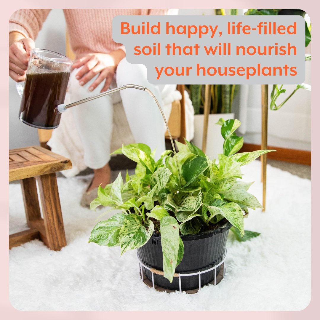  Instant Plant Food- The ULTIMATE Plant Parent Bundle