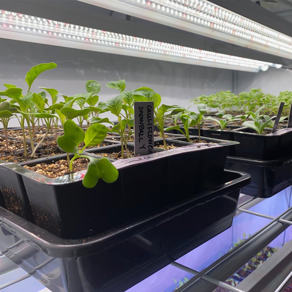  Integrated 4' LED Grow Light– Dual T8 Sun White Pro Spectrum