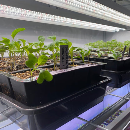  Integrated 4' LED Grow Light– Dual T8 Sun White Pro Spectrum