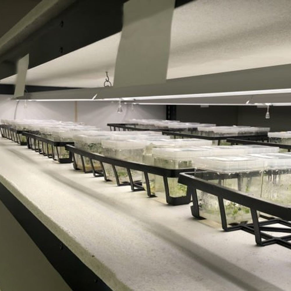  Integrated 4' LED Grow Light– Dual T8 Sun White Pro Spectrum