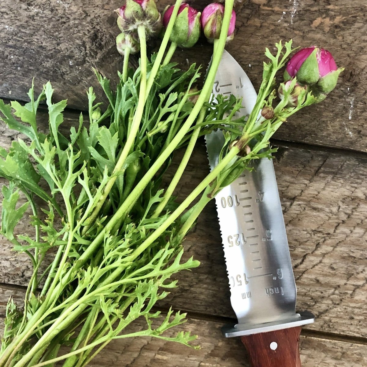  Katana Hori Hori Garden Tool – The Ultimate Gardening Knife