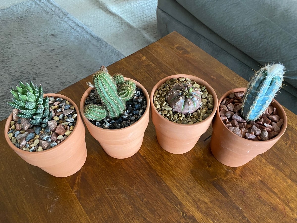  Kona Grey Soil Topper – Decorative & Functional Granite For Potted Plants