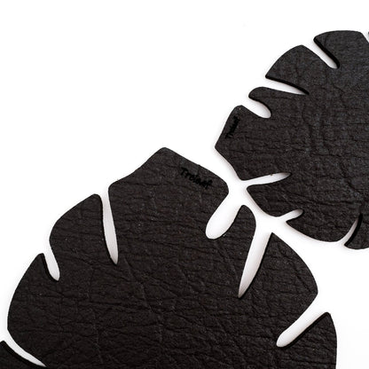  Kostr™ Double‑Sided Leaf‑Shaped Plant Coasters | Eco‑Friendly Home Decor