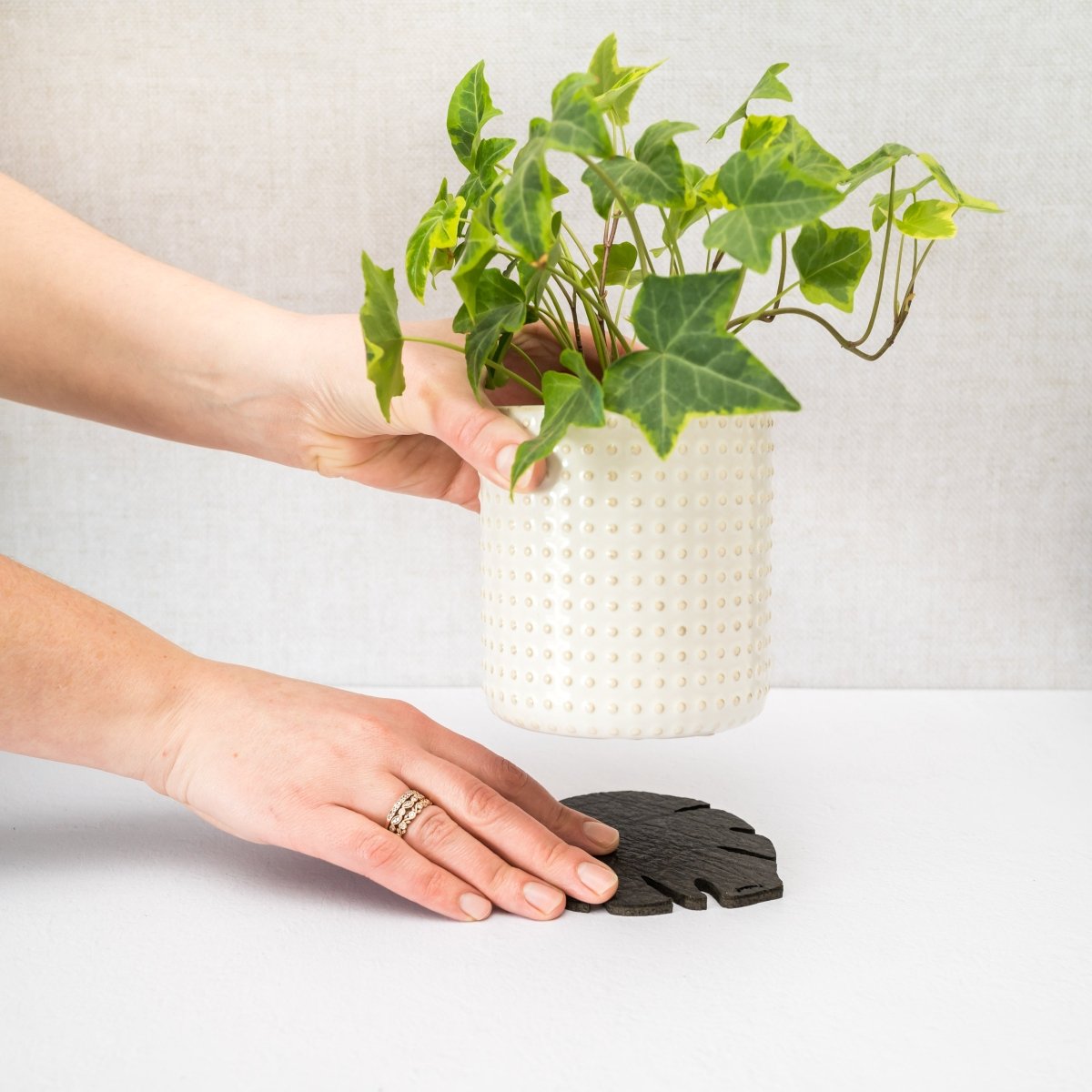  Kostr™ Double‑Sided Leaf‑Shaped Plant Coasters | Eco‑Friendly Home Decor