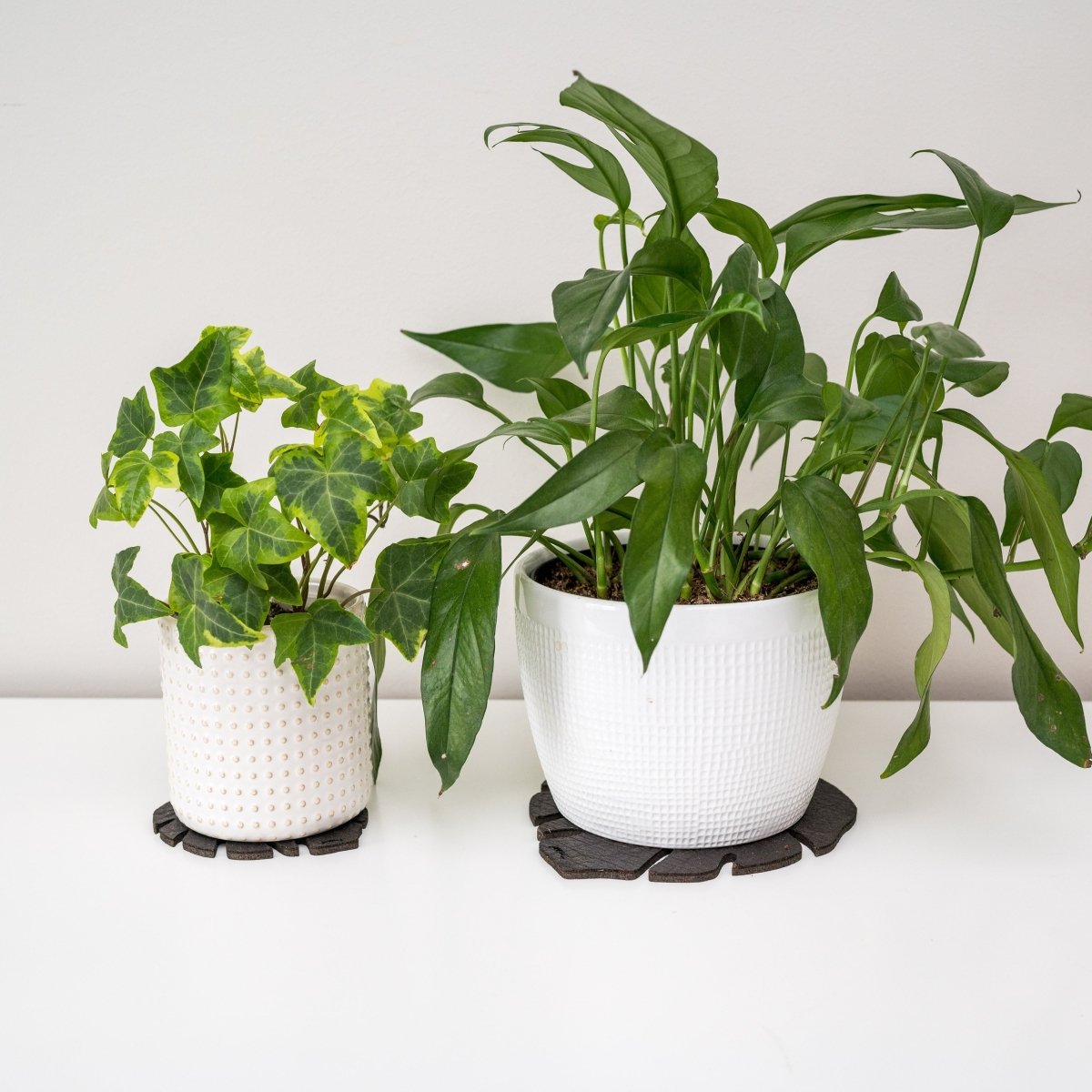  Kostr™ Double‑Sided Leaf‑Shaped Plant Coasters | Eco‑Friendly Home Decor