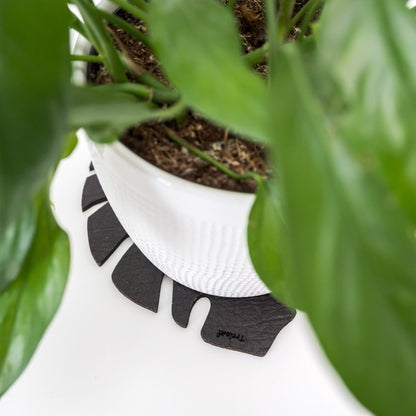  Kostr™ Double‑Sided Leaf‑Shaped Plant Coasters | Eco‑Friendly Home Decor