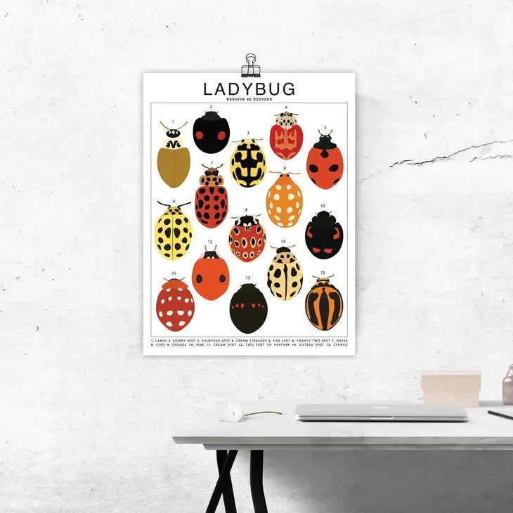 Ladybug Species ID Chart - Insects Fauna Art Print 8x10