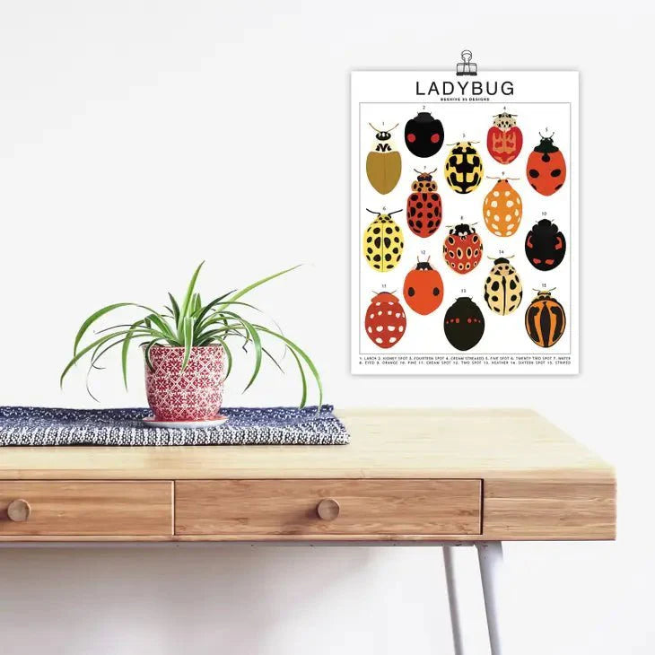  Ladybug Species ID Chart - Insects Fauna Art Print 8x10
