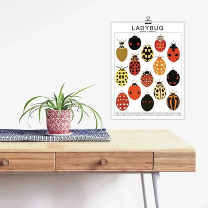  Ladybug Species ID Chart - Insects Fauna Art Print 8x10