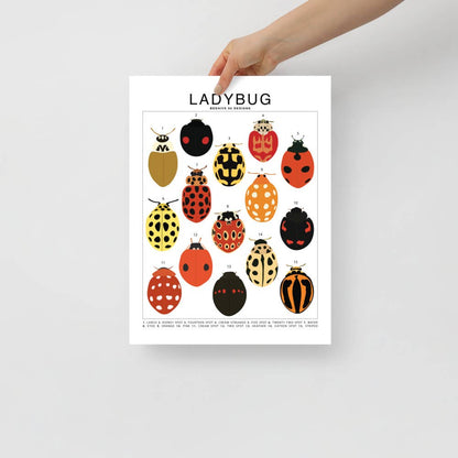  Ladybug Species ID Chart - Insects Fauna Art Print 8x10