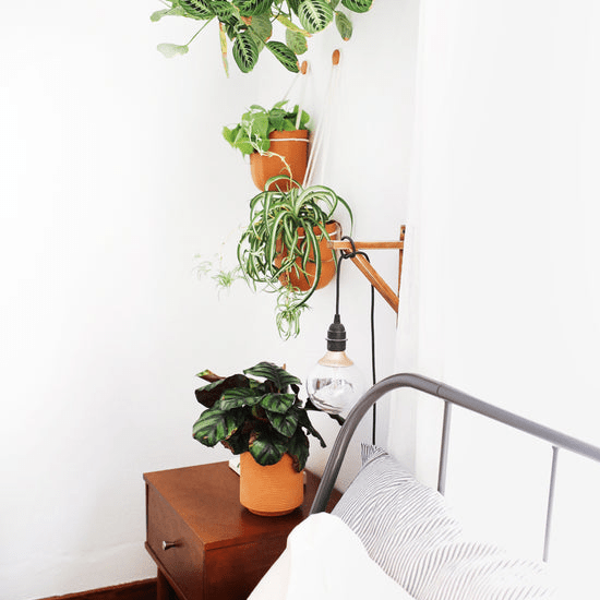  Leak-Free Hanging Planter In Terra Cotta – Modern 360° Drainage Indoor Pot