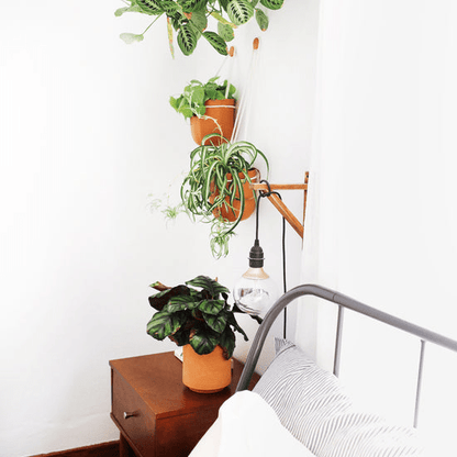 Leak-Free Hanging Planter In Terra Cotta – Modern 360° Drainage Indoor Pot