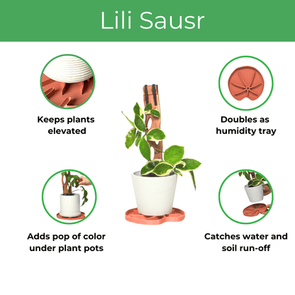  Lili Saucer – Stylish Lily Pad Plant Saucer For Drainage, Root Rot Prevention & Humidity