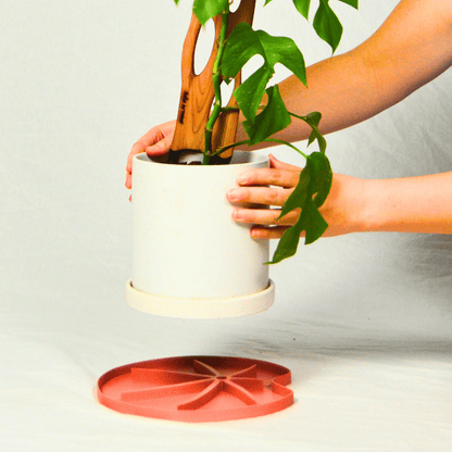  Lili Saucer – Stylish Lily Pad Plant Saucer For Drainage, Root Rot Prevention & Humidity