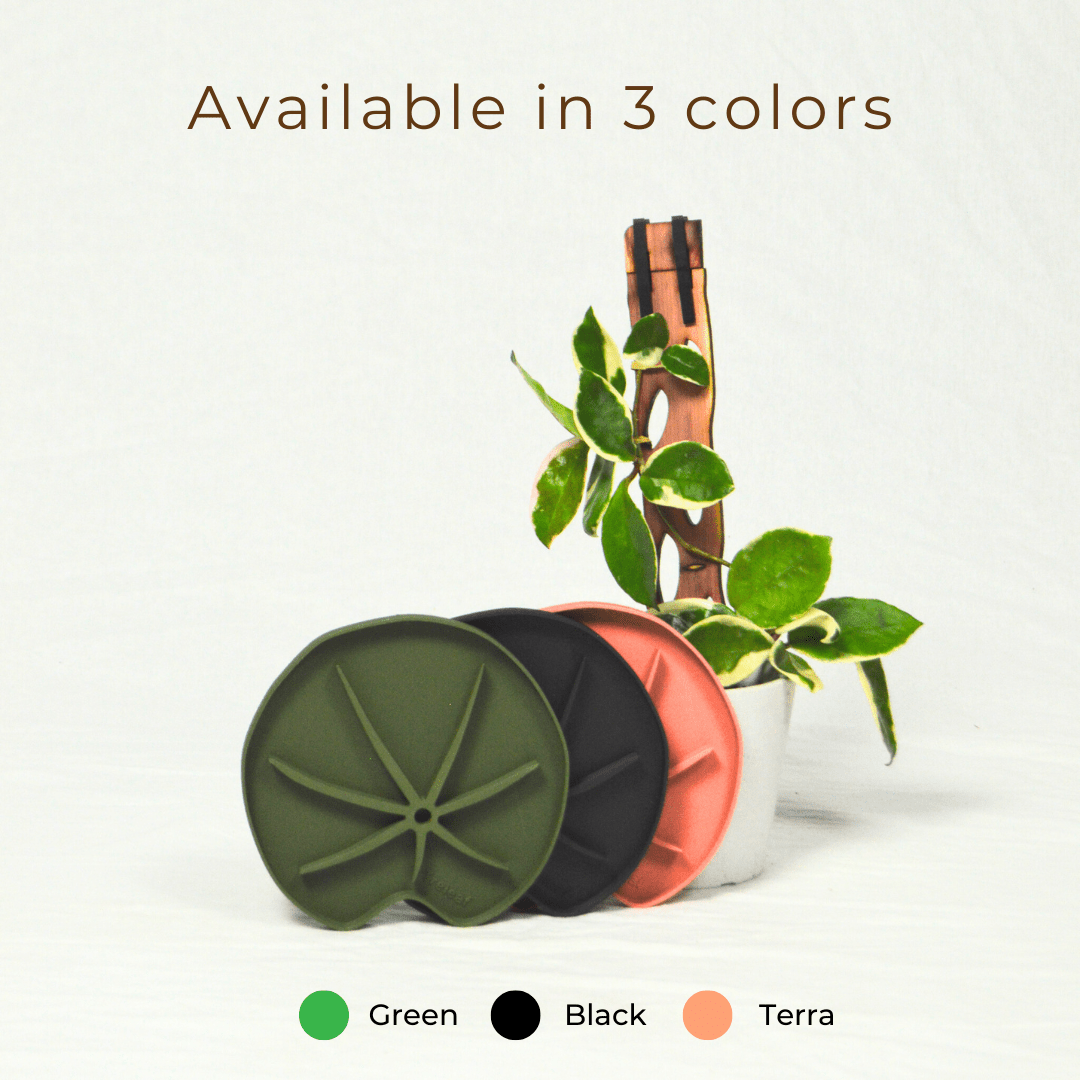  Lili Saucer – Stylish Lily Pad Plant Saucer For Drainage, Root Rot Prevention & Humidity