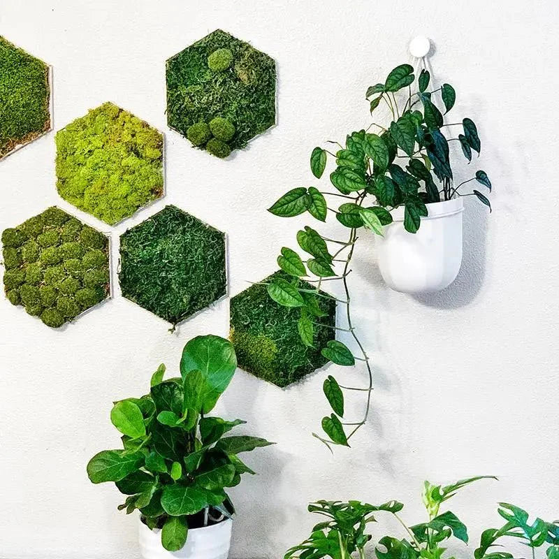  Loop Hanging Planter – Indigo | Leak-Proof, 360° Drainage & Deep Color Accent