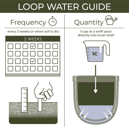  Loop Hanging Planter – Lavender (Self-Watering, Leak-Proof Design)