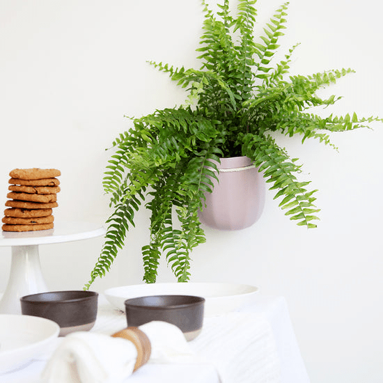  Loop Hanging Planter – Lavender (Self-Watering, Leak-Proof Design)