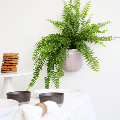  Loop Hanging Planter – Lavender (Self-Watering, Leak-Proof Design)