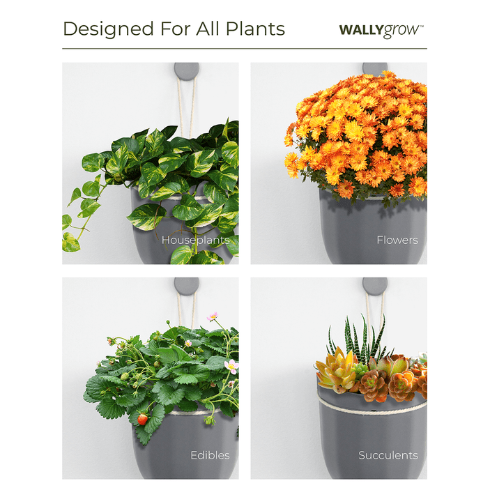  Loop Hanging Planter – Oat | Leak-Proof, 360°-Drainage & Minimalist