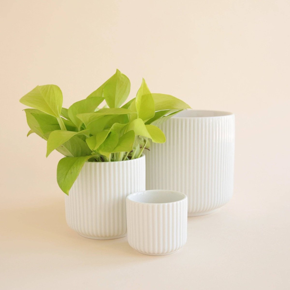  Lucy Planter | White