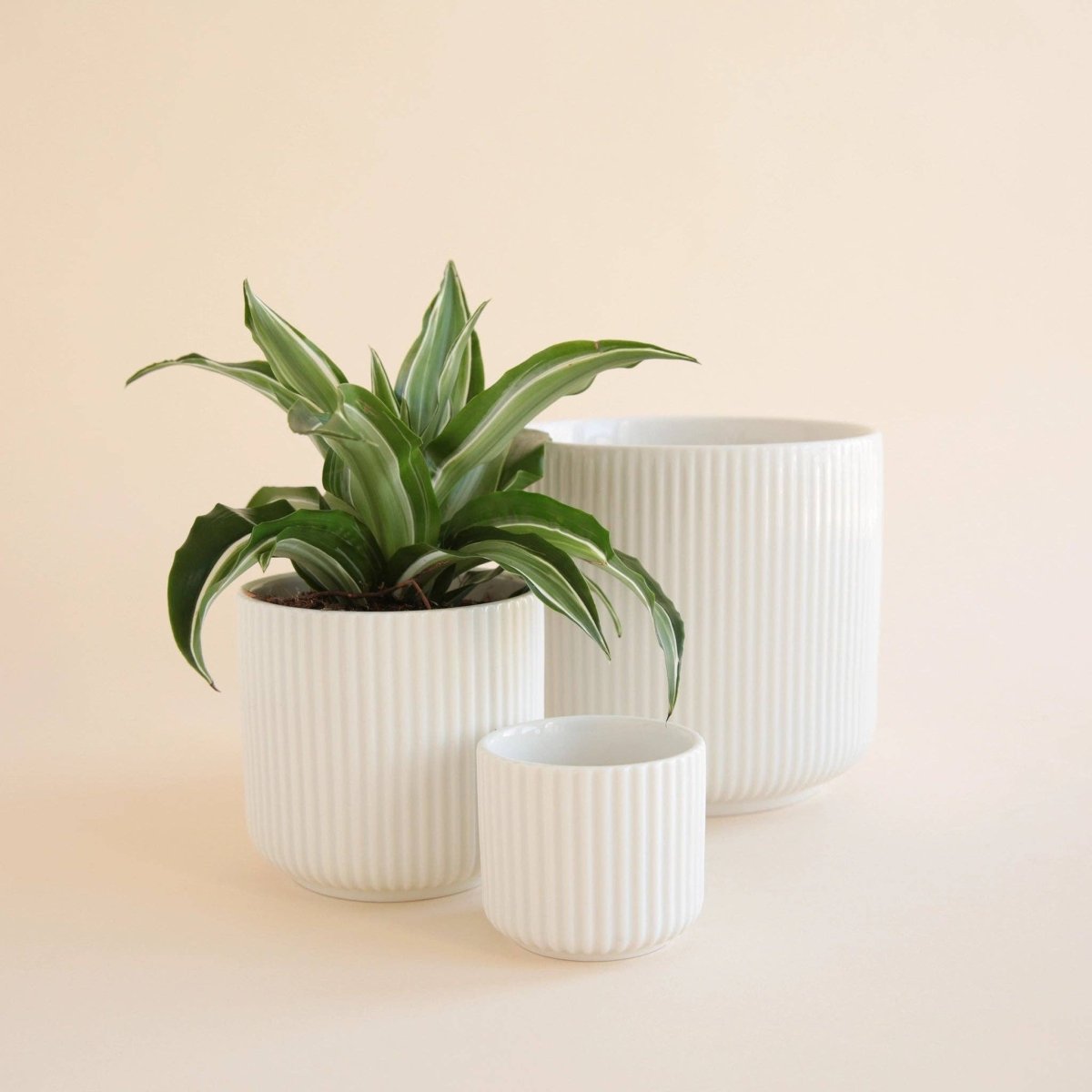  Lucy Planter | White