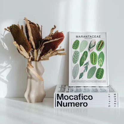 Marantaceae Species ID Chart -Botanical Houseplant Art Print