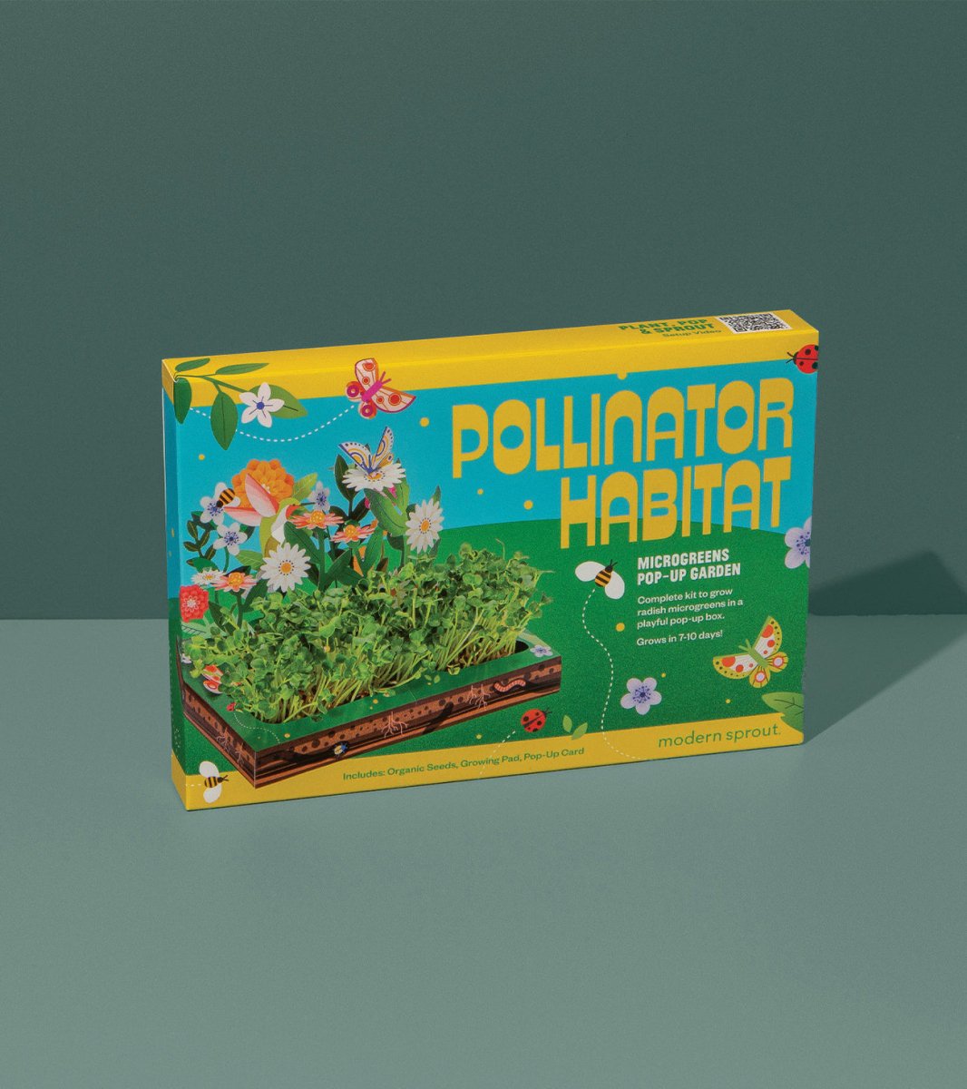  Microgreens Pop-Up Kit